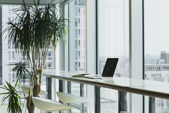 A bright workspace with shared desks and greenery